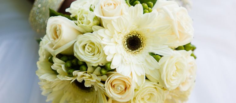 Sed blandit massa vel